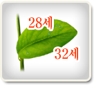 �2